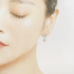 PT900 Bông tai kim cương 0.50CT - Hàng hiệu Chính hãng 868107