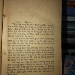 Mắt sao gợi nhớ - Delly 973342