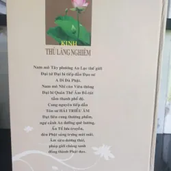 Kinh Thủ Lăng Nghiêm - Dịch giả Tỳ-kheo-ni Hải Triều Âm mới 80% 697412