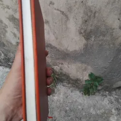 Phép tính của một nho sỹ của Trần Vũ  1004687