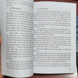 Nghề giấy dó tranh dân gian Việt Nam 782992