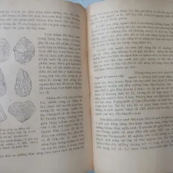 LỊCH SỬ CHẾ ĐỘ CÔNG XÃ NGUYÊN THỦY TRÊN THẾ GIỚI 696793
