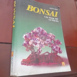 BONSAI Cây dáng, thế và Non bộ