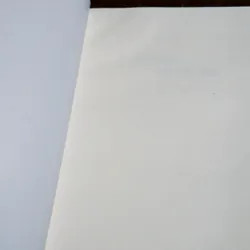 Mùa sạch - Trần Dần 698304