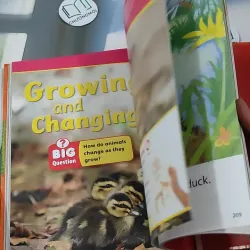 [MIỄN PHÍ BỌC SÁCH] Reach: Language, Literacy, Content - Level 1 990374