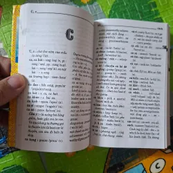 Từ điển Việt - Anh (The Vietnamese - English Dictionary) 1024159