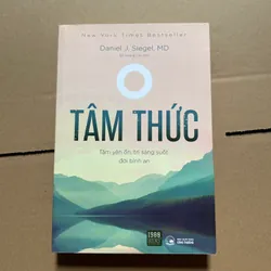 Tâm thức - tâm yên ổn, trí sáng suốt, đời bình an