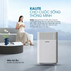 Máy hút ẩm Kalite DrySense-A6, nhỏ gọn, tiện dụng, hàng mới 100% 701644