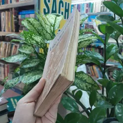 LỤC VÂN TIÊN - NGUYỄN ĐÌNH CHIỂU 1042800
