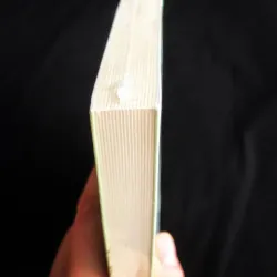 Có nhiều người trong một người - Nguyên Hương 759103