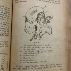 Bệnh lý ngoại khoa thần kinh, Lê Xuân Trung, lưu hành nội bộ 709163