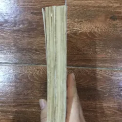 Kho tàng về các ông Trạng Việt Nam - G.S Vũ Ngọc Khánh (6) 927924