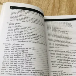 GIẢI PHẪU NGƯỜI - GIẢI PHẪU NGỰC BỤNG 989633