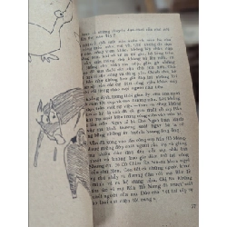 Chú mèo vằn và cô chim én sin-ha - G. A-Ma-đô 491051