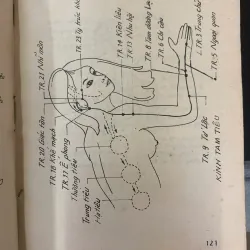 CHÂM CỨU CHỮA BỆNH - G.S_BS NGUYỄN TÀI THU 1001232