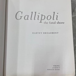 GALLIPOLI THE FATAL SHORE 387296