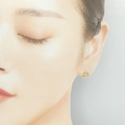 K10YG Bông tai - Hàng hiệu Chính hãng 870437