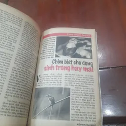 KIẾN THỨC NGÀY NAY số 258 ngày 20-9-1997 592646