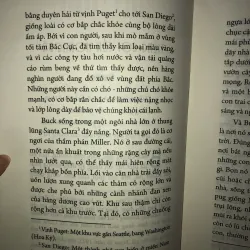 Tiếng gọi của hoang dã - Jack London 972750