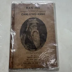 Cảm ứng kinh