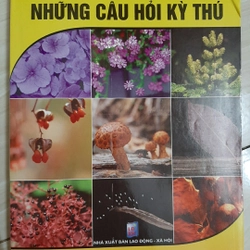 Những câu hỏi kỳ thú KỲ QUAN THẾ GIỚI THỰC VẬT 323610