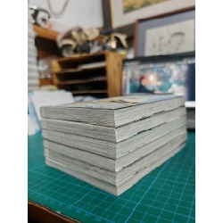 TRUYỆN TRANH NGƯỜI LẠ DƯỚI GIÓ XUÂN 377031