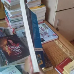 Đường vào nghề Kiến trúc Sư - Hồng Vân, Hồng Quân 720768