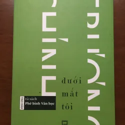 [PHÊ BÌNH] Dưới mắt tôi - Trương Chính 576543