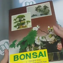 Bonsai: Cây dáng, thế và non bộ - Đỗ Hiệp 694948