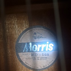 Guitar Acotic Morriss MD 508 24022