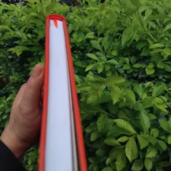 Nhóc Nicolas, quả bóng và những chuyện chưa kể 936598