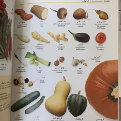 ARABIC ENGLISH BILINGUAL VISUAL DICTIONARY (TỪ ĐIỂN HÌNH ẢNH SONG NGỮ  ANH - Ả RẬP) 763430