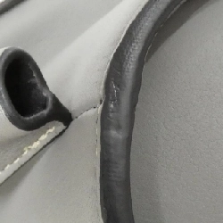 Túi Loewe ANIMALES Hổ lớn B623A18X01 615305