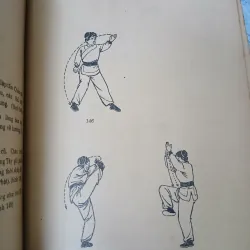 THIẾU LÂM TRƯỜNG QUYỀN - HÀNG THANH 748722