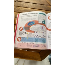 How The Body Works