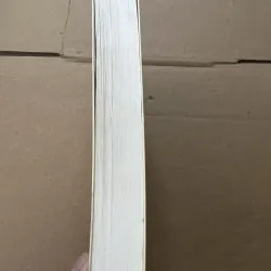 Người Đua Diều 789557