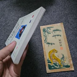 Cô gái nơi hàng ghế sau 734010