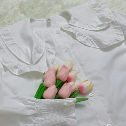 Áo sơ mi trắng cổ bèo freesize mới 98% 532315