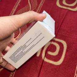 Ruizhi mini bean design JE-520 694195