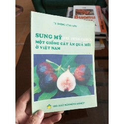 Sung Mỹ một giống cây ăn quả mới ở Việt Nam - Công Kiên 2002 (Sách giáo khoa - giáo trình) VAVO1304-A0