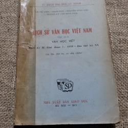 Lịch sử văn học Việt Nam: văn học viết từ 1958 đến đầu thế kỷ XX