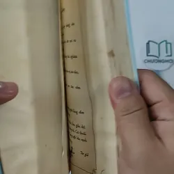 Nhật Bản Đến Và Yêu - Dương Linh 798355