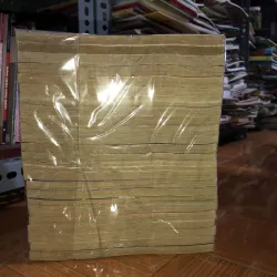 Thiếu niên vương - Hirofumi Sawada 784417