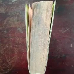 Tôi thấy hoa vàng trên cỏ xanh 751296