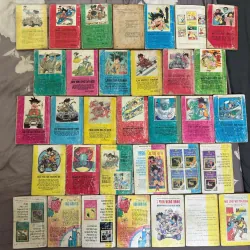 Truyện tranh Bảy viên ngọc rồng 1995 full bộ 67 tập 712186