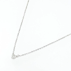 Dây chuyền Tiffany By The Yard - Hàng hiệu Authentic 840608