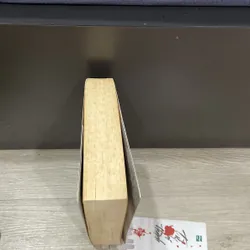 Từ Bi Thành của Đinh mặc 705444