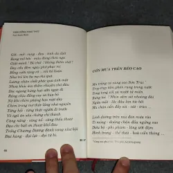 CÁNH ĐỒNG THAO THỨC - NGÔ XUÂN BÍNH 729325