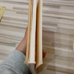 Bonsai cho mọi nhà 971323