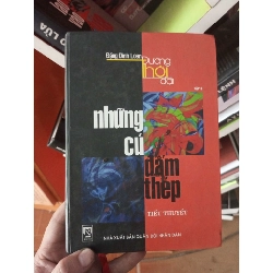 (Sách cũ SCGR) Những cú đấm thép - Đình Loan 2005 VAVO-A0 Blogmeo090426